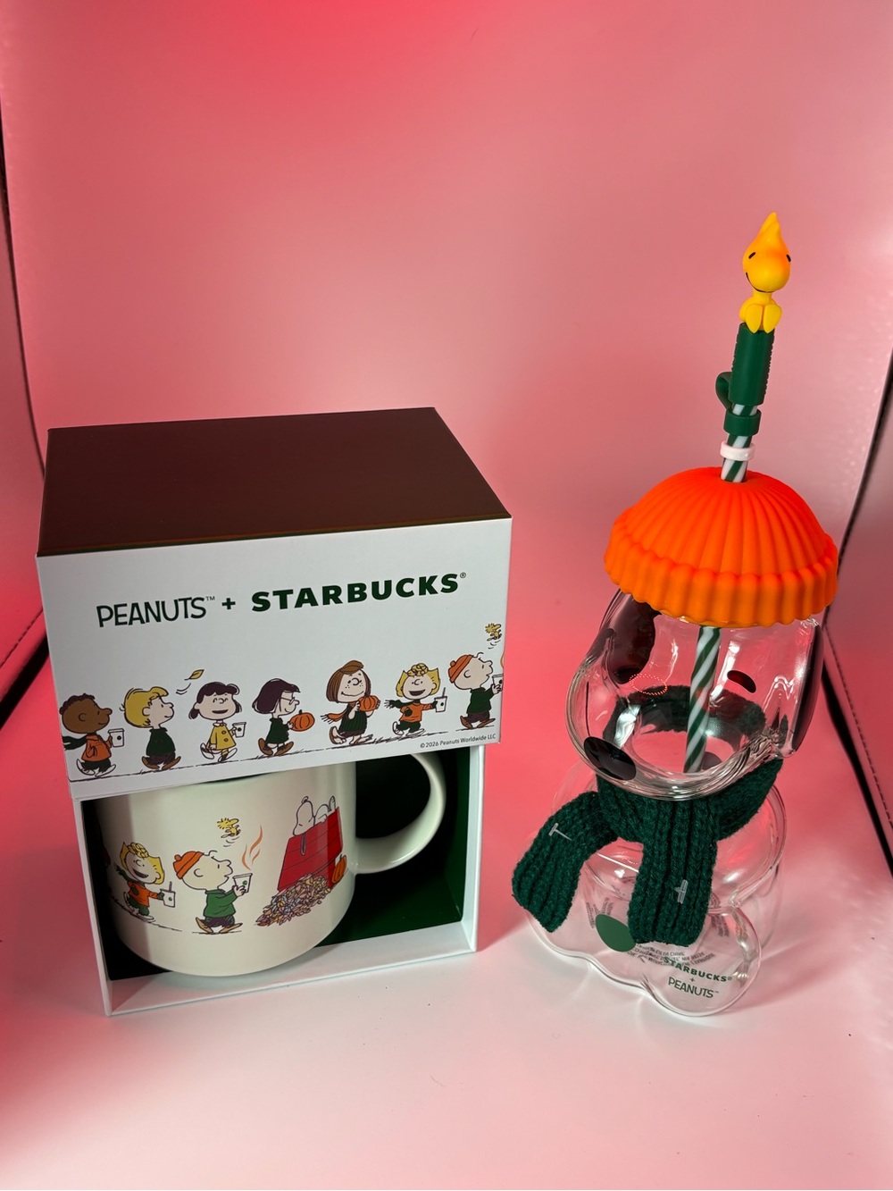 Starbucks Peanuts Snoopy Glass Cup and Peanuts Mug